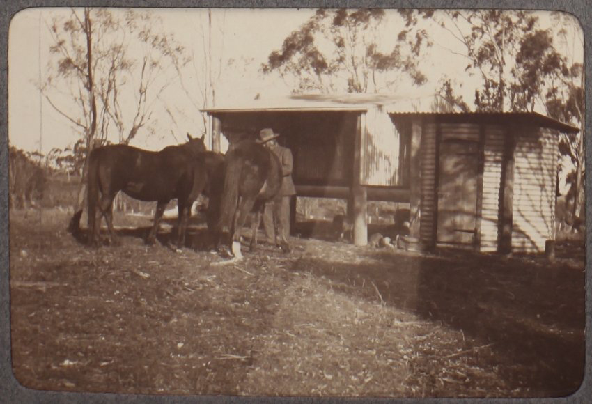 [A man and three horses]