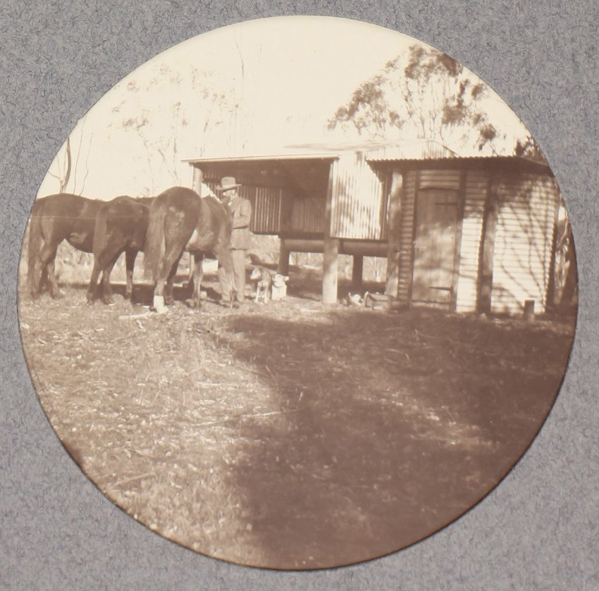 Man and three horses