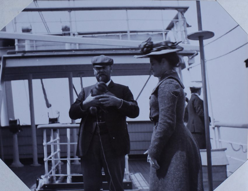 Passengers and a monkey