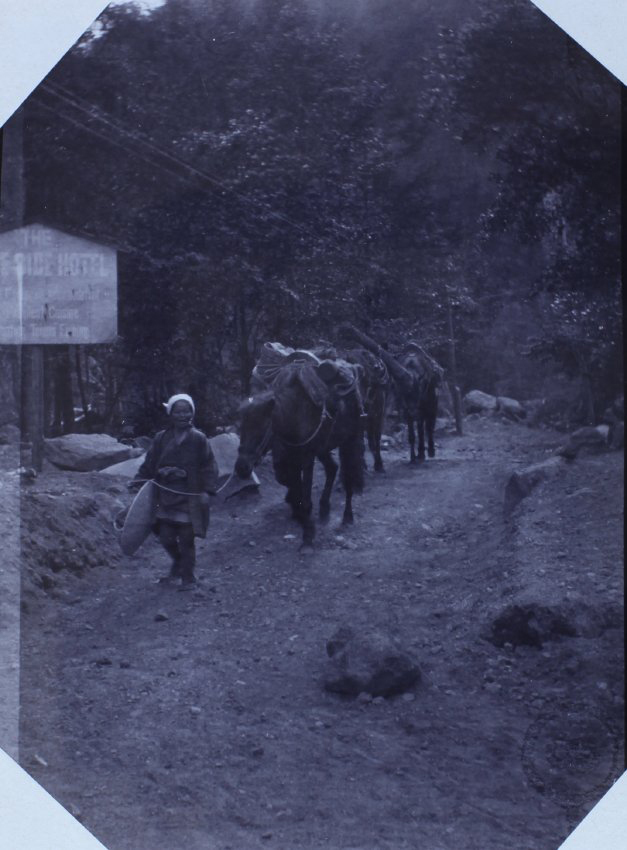 A trip in the mountains by packhorse