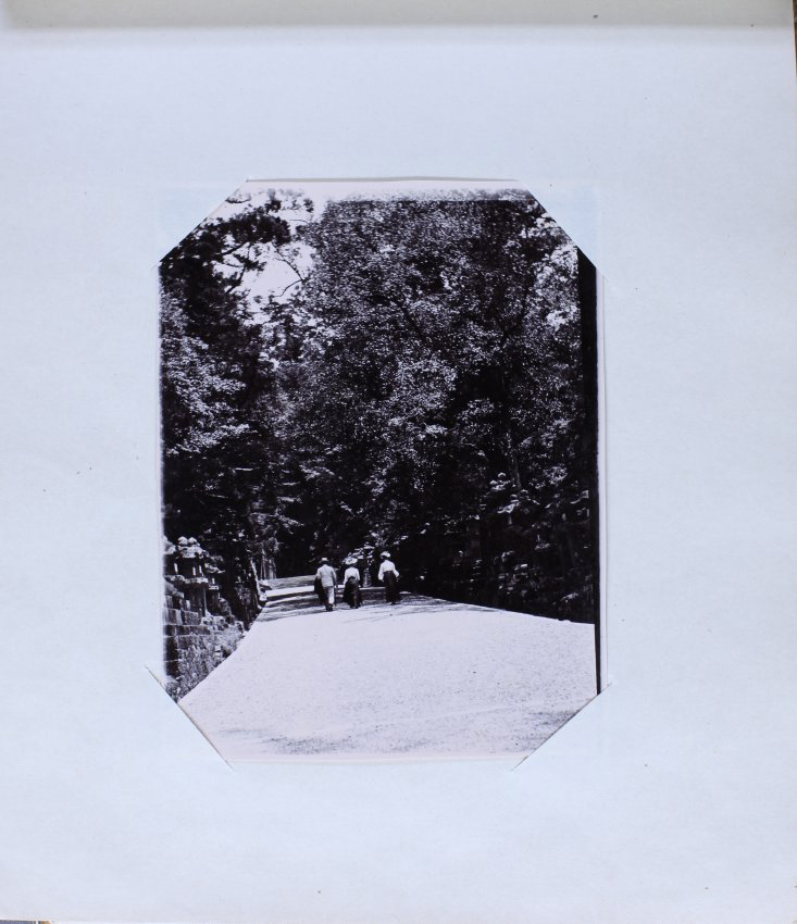 Strolling in the park