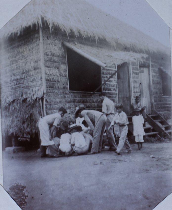 A Thatched Building, detail
