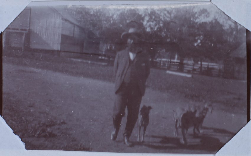 A man and three dogs