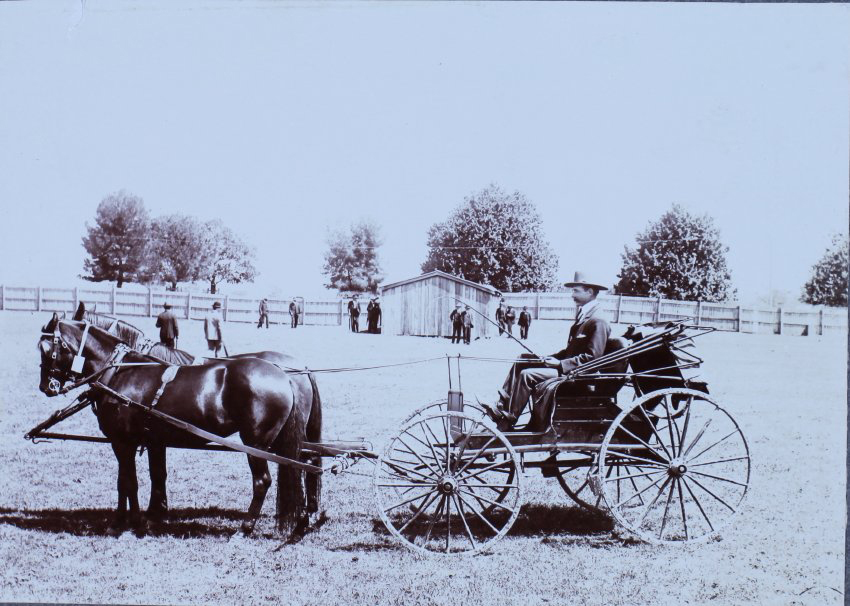 'Adam and [B...] horses, buggy and driver