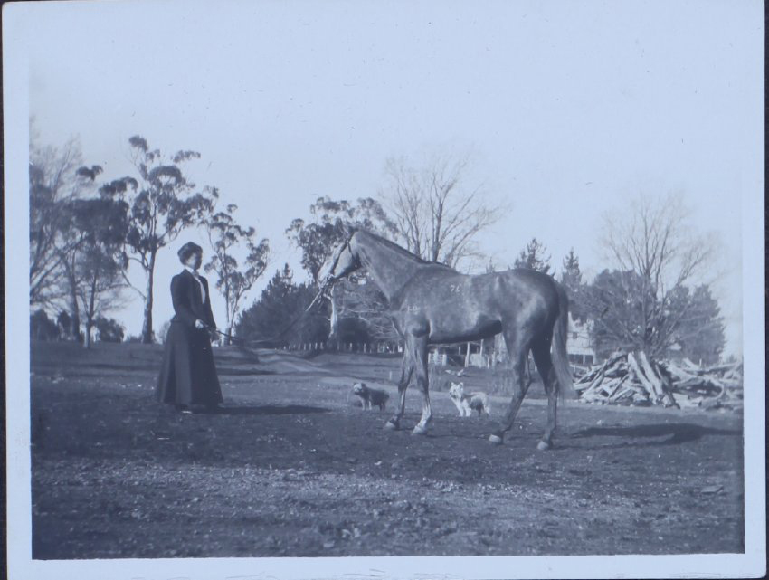 Unidentified woman standing with horse