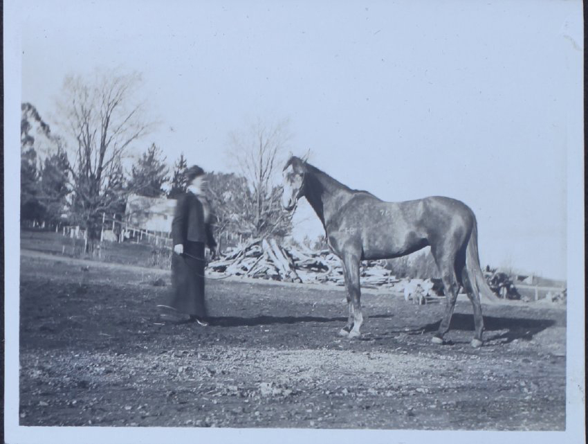 Unidentified woman standing with horse