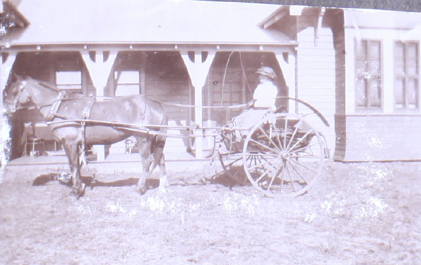 Unidentified woman in a buggy