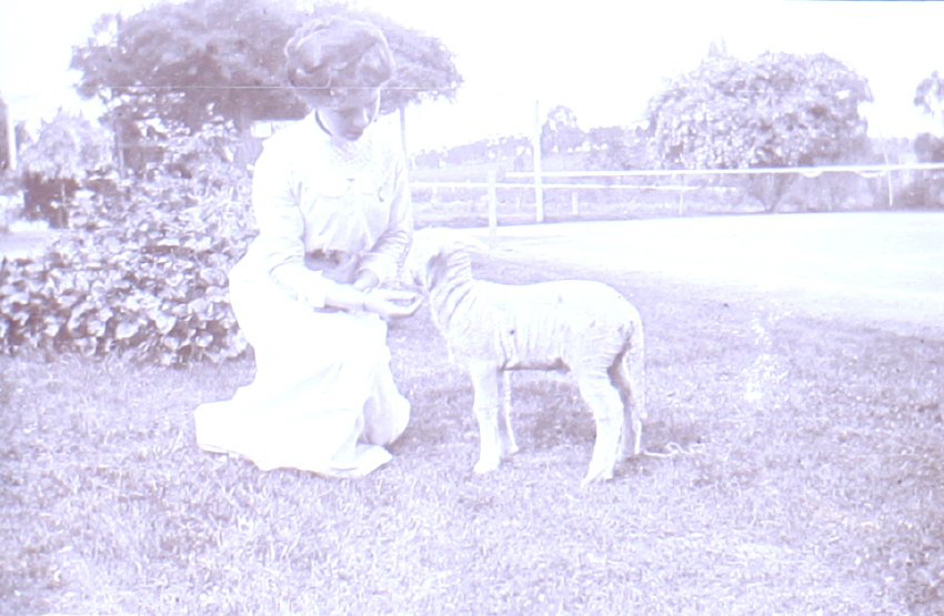 Unidentified woman with pet lamb