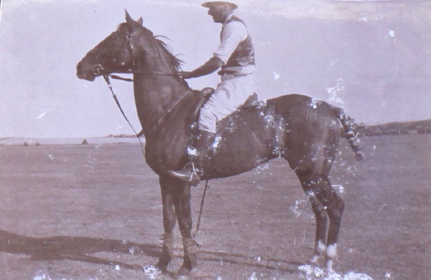 Unidentified polo player