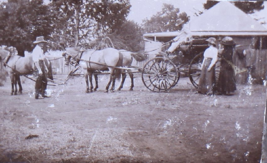 Horse drawn buggy with four unidentified people