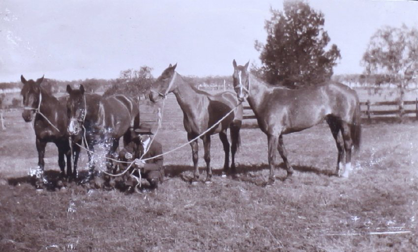 Unidentified man with four horses