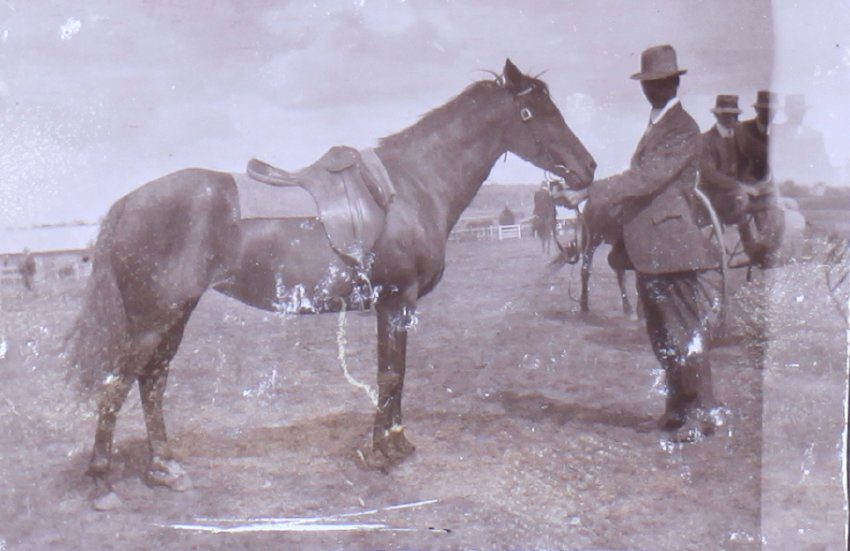 Unidentified man holding a horse