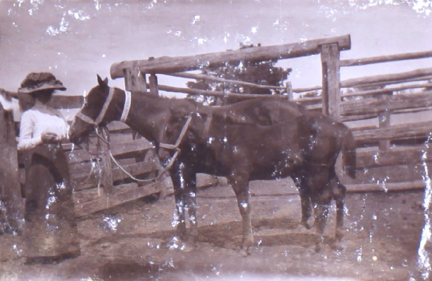 Unidentified woman hold a mare and foal