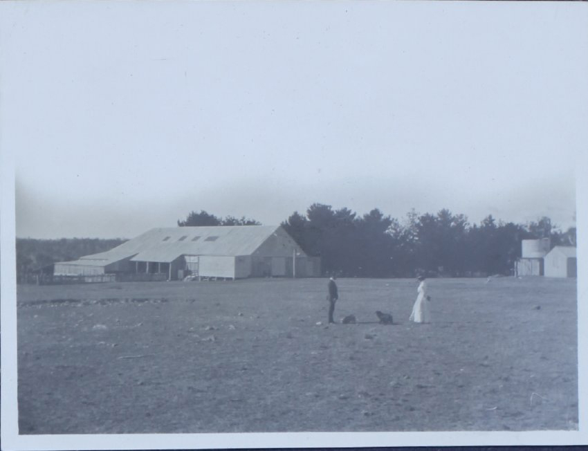 Couple with two dogs near farm buildings