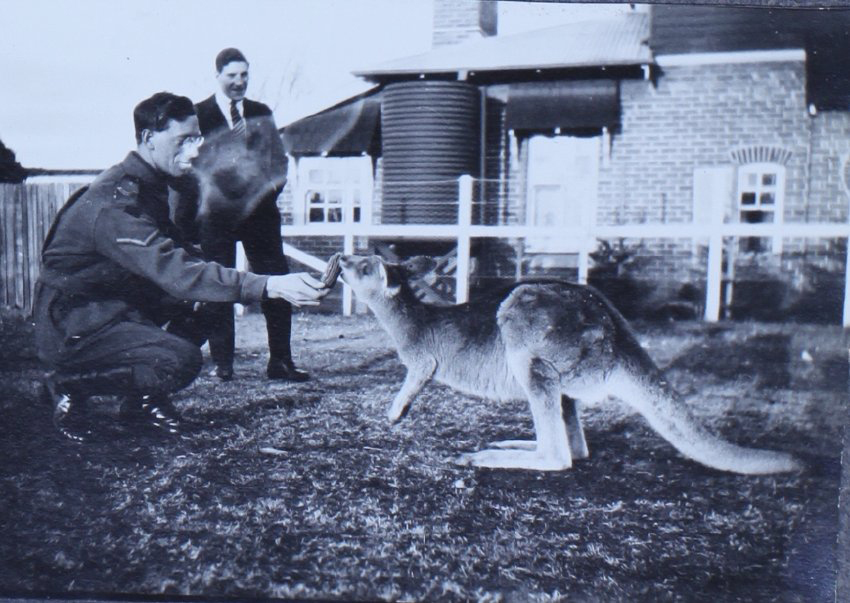 Soldier, man and kangaroo