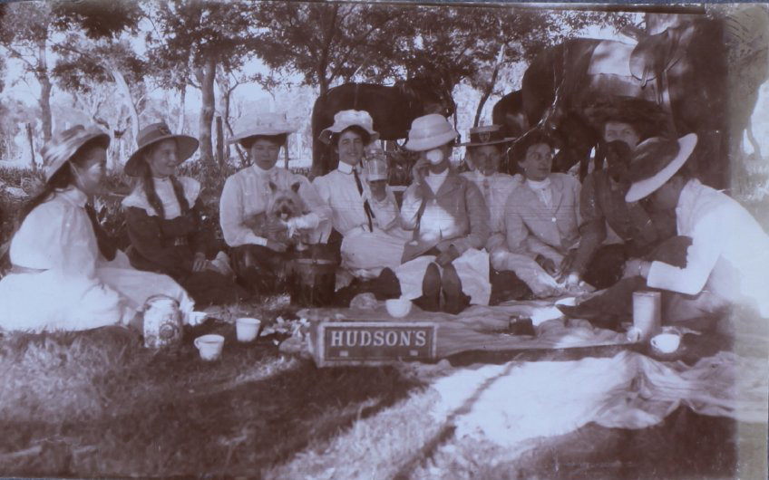 Group of nine people on a picnic