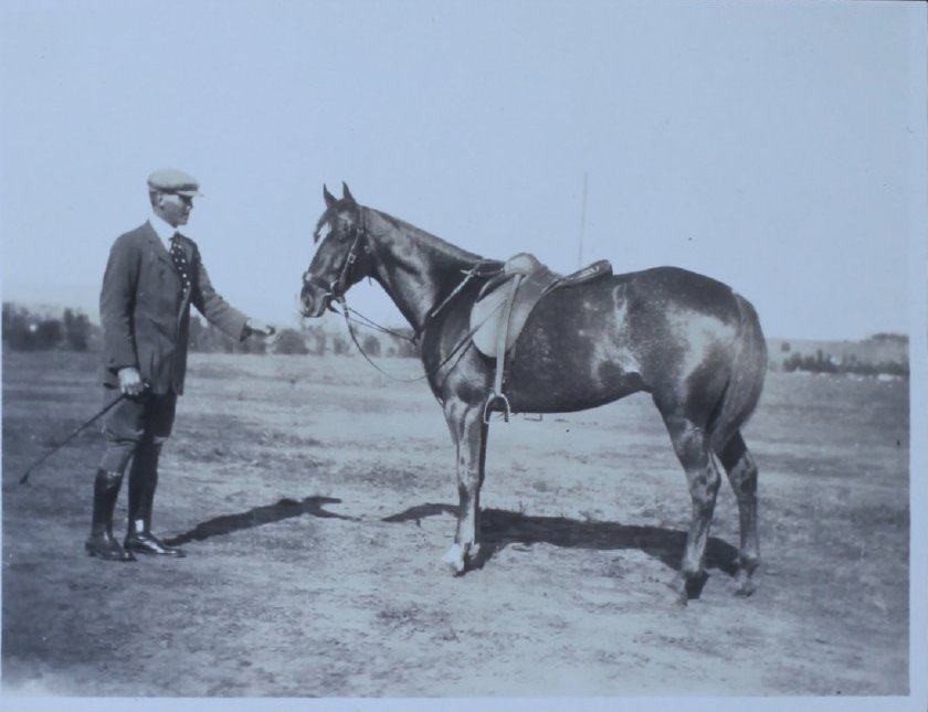 Man standing with horse