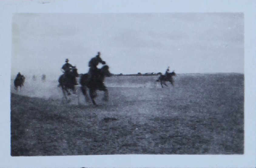 Horse racing in the desert