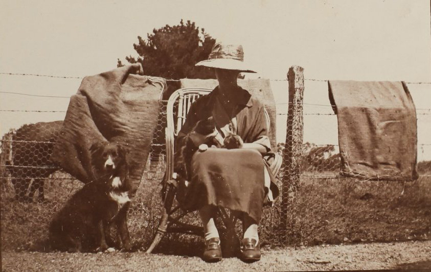 Unidentified woman with a cat and a dog