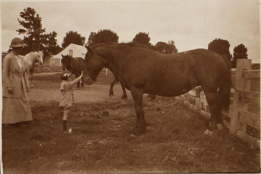 Unidentified woman and child with a horse