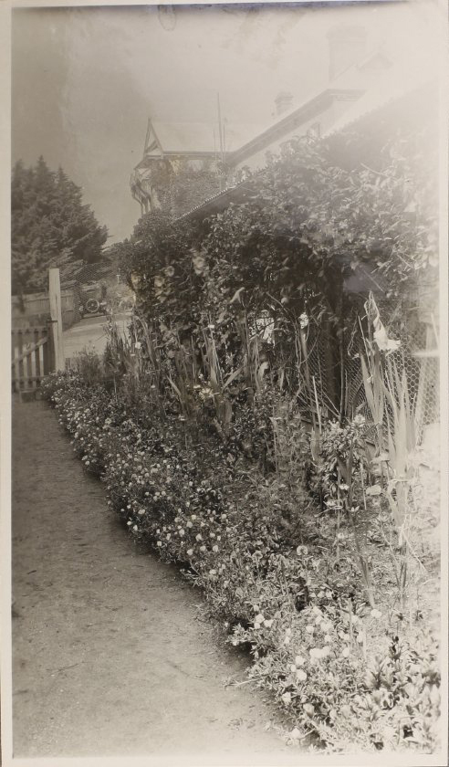 Flower garden at Saumarez Homestead
