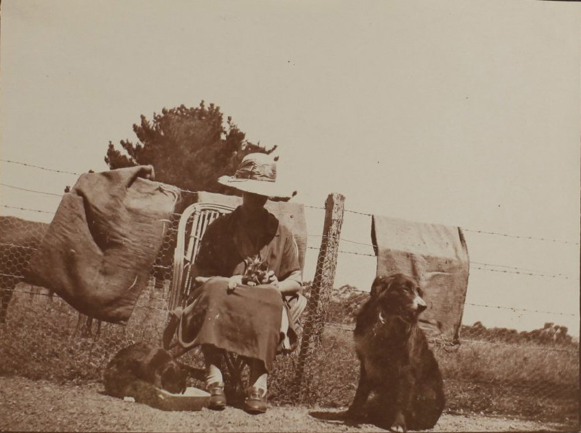 Unidentified woman with two dogs and one cat
