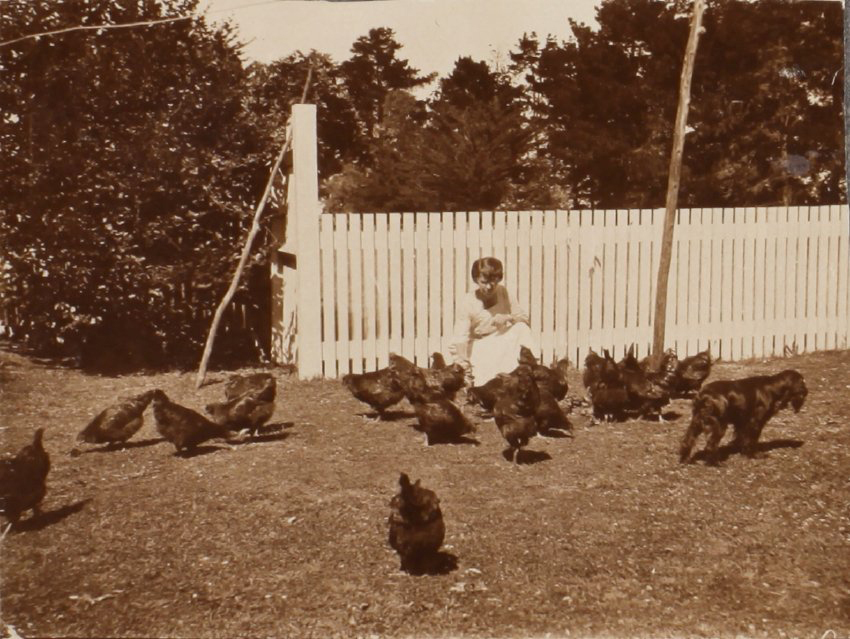 Unidentified woman with chickens