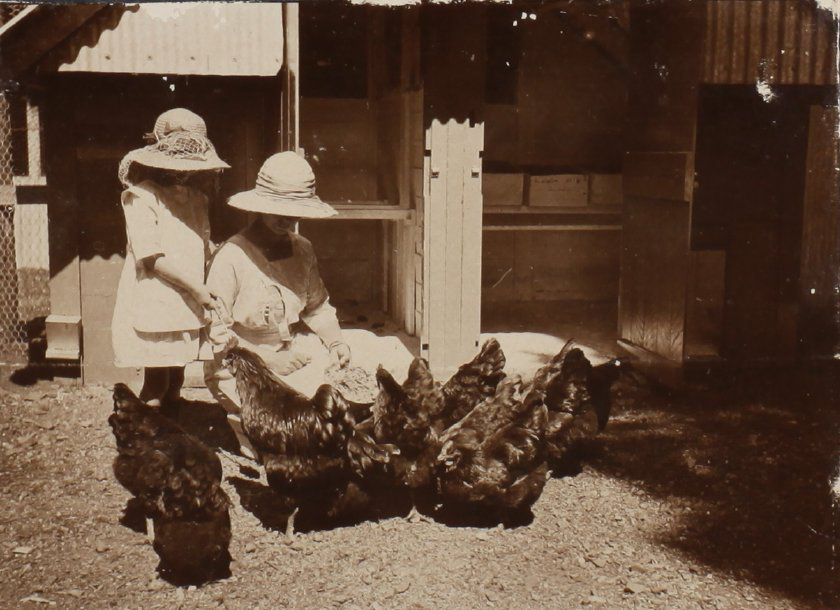 Unidentified woman and child with the chickens