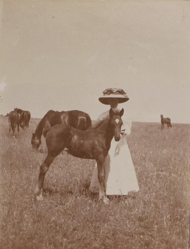 'Eight weeks' with an unidentified woman Vixen's first foal