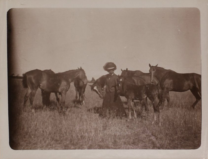 Unidentified woman with Vixen's first foal and other horses