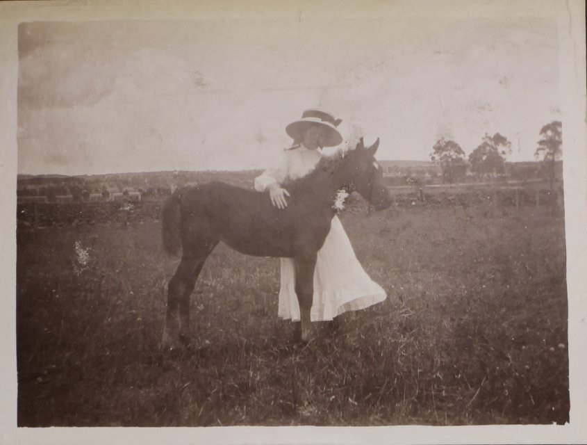 'Three months' Vixen's first foal with an unidentified woman
