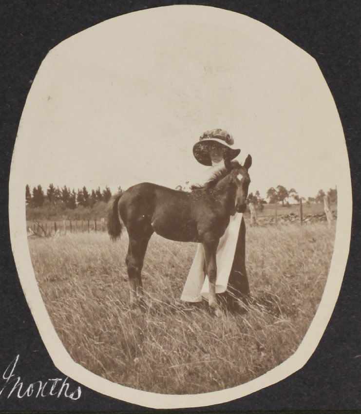 'Three months' Vixen's first foal with an unidentified woman