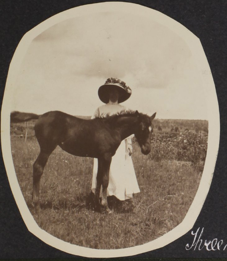 'Three months' Vixen's first foal with an unidentified woman