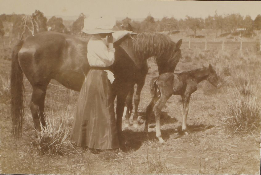 'A few hours old, Sunday Oct. 24/09'
