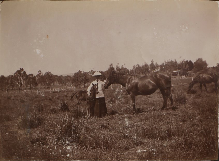 'Six weeks' Vixen's first foal
