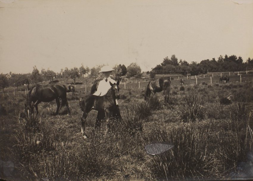 Vixen's first foal at six weeks with an unidentified woman