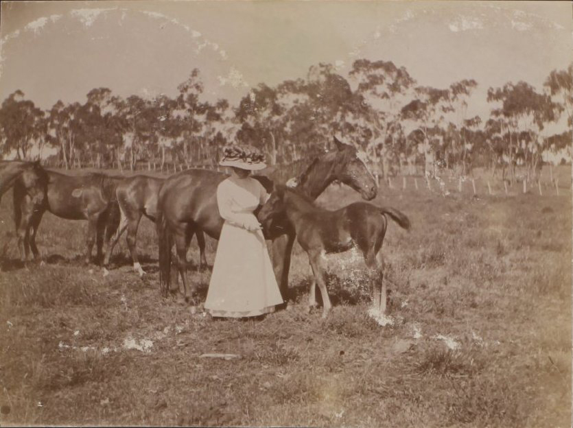 Vixen's first foal with an unidentified woman