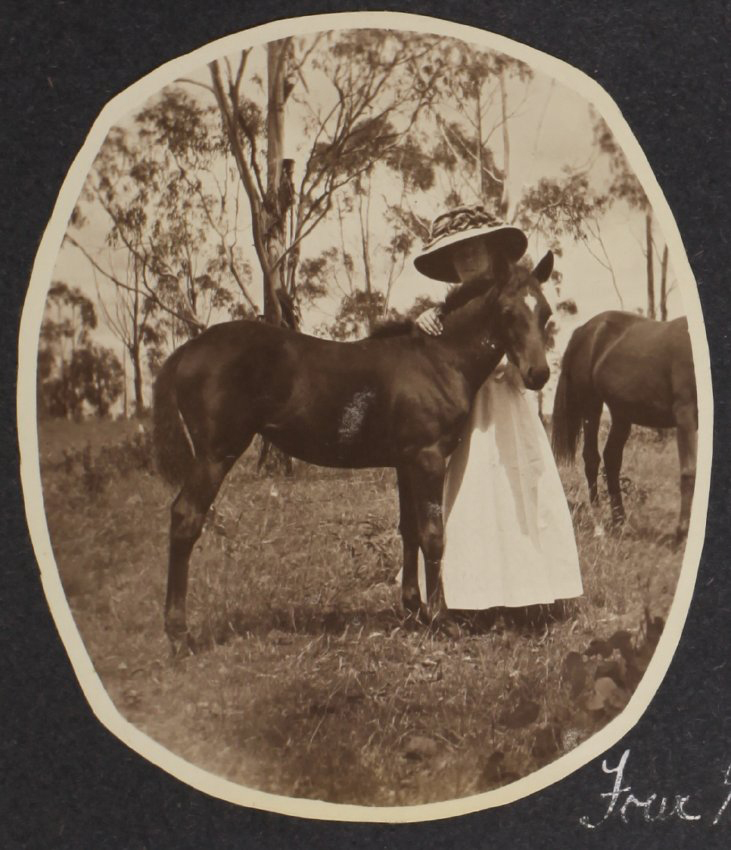 'Four months' Vixen's first foal with an unidentified woman