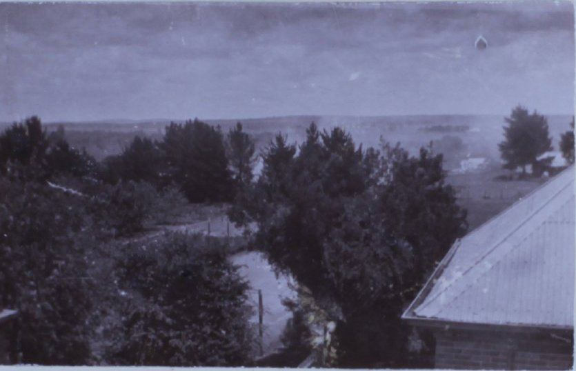 View from Saumarez Homestead