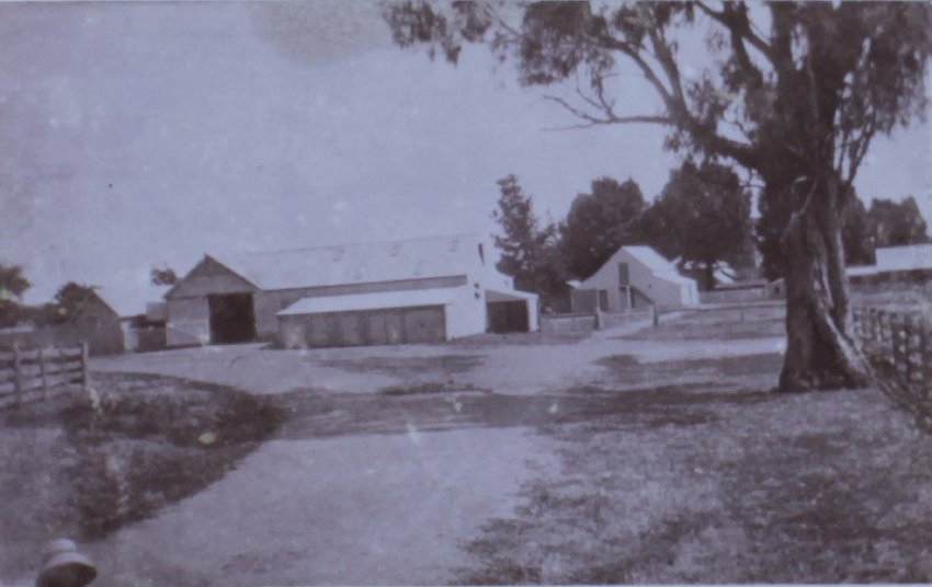 View of buildings on Saumarez