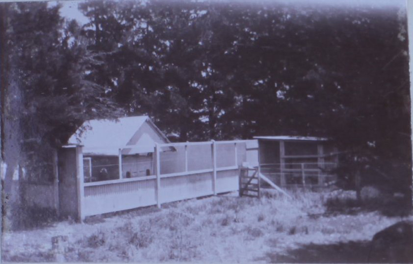 View of buildings on Saumarez