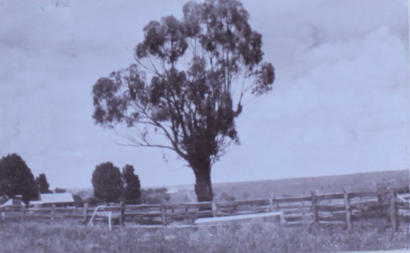 View of buildings on Saumarez