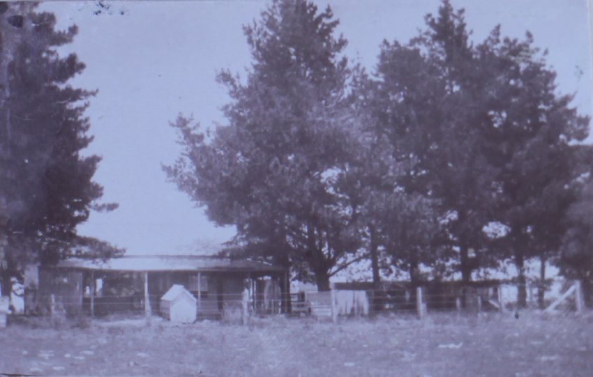 View of buildings on Saumarez