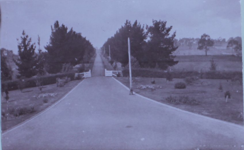 Driveway from Saumarez Homestead
