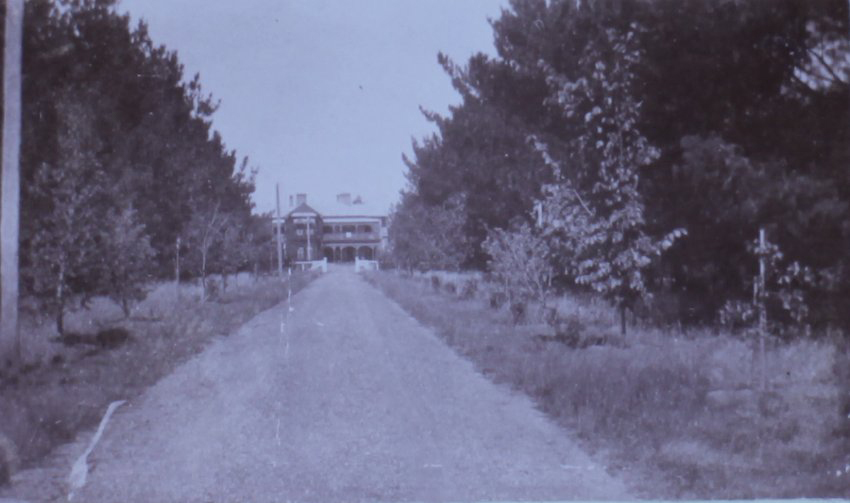 Driveway to Saumarez Homestead