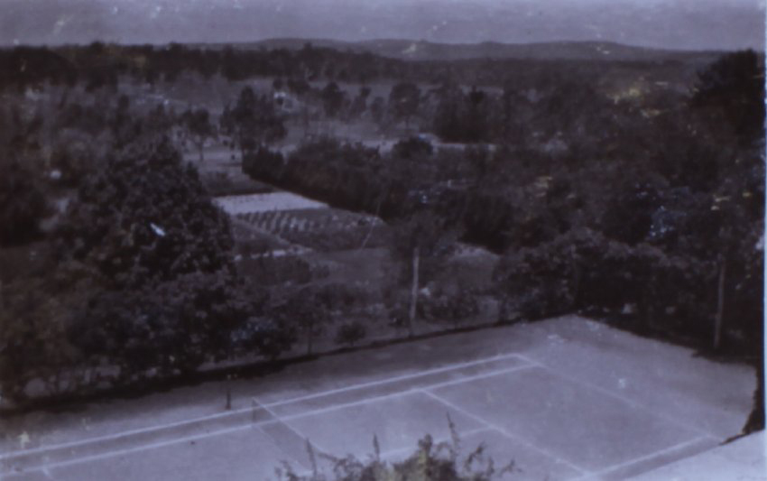 View from Saumarez Homestead