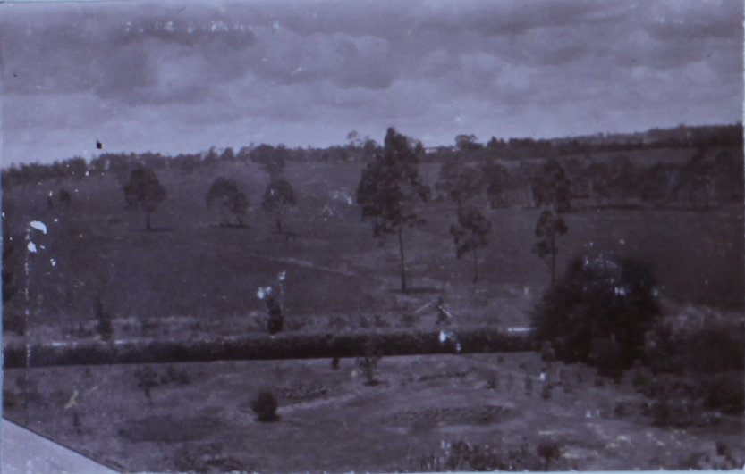 View from Saumarez Homestead