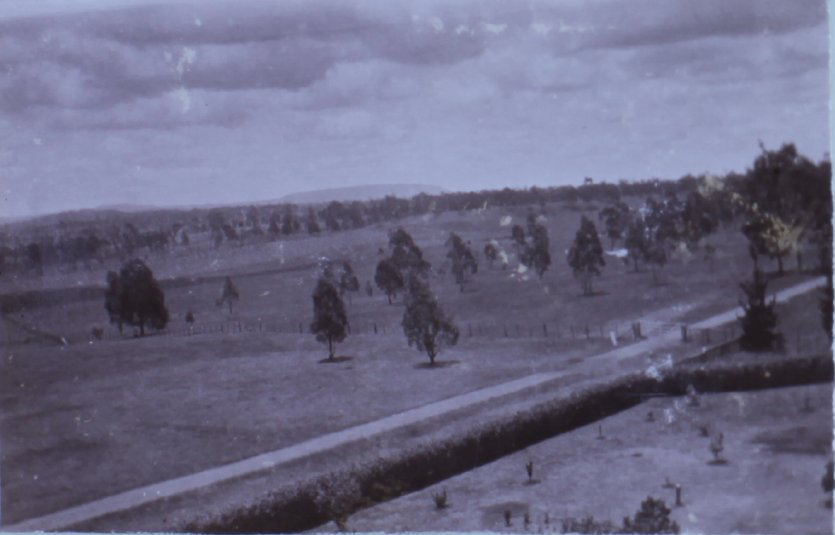 View from Saumarez Homestead