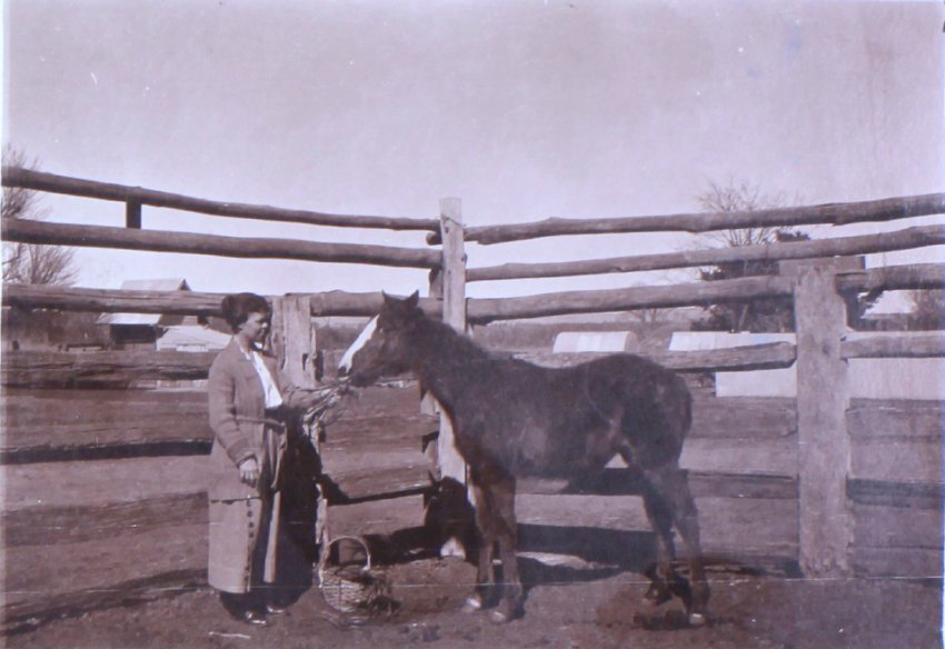 Unidentified woman with a foal