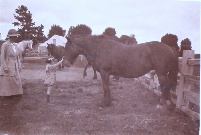Unidentified woman and child with horses